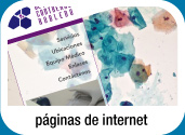 Páginas de internet